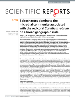 Spirochaetes Dominate the Microbial Community Associated with the Red
