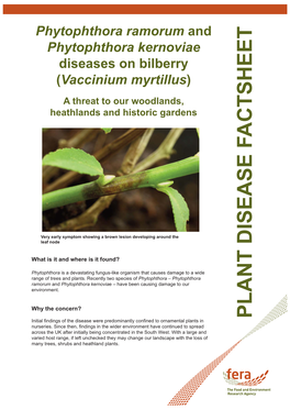 Phytophthora Ramorum and P. Kernoviae Diseases on Bilberry