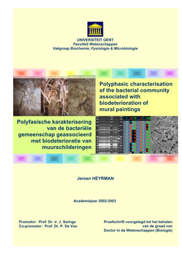 Polyphasic Characterisation of the Bacterial Community Associated with Biodeterioration of Mural Paintings