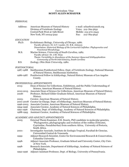 Download Curriculum Vitae