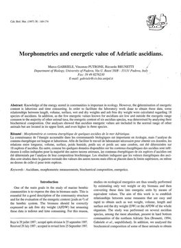 Morphometrics and Energetic Value of Adriatic Ascidians