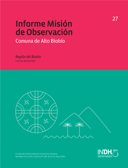 Informe Misión De Observación Comuna De Alto Biobío