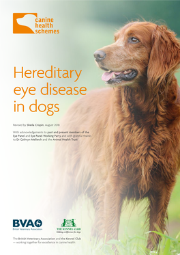 Hereditary Eye Disease in Dogs