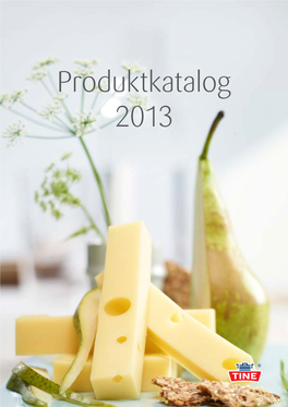 Produktkatalog 2013