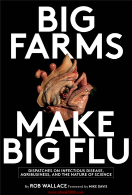 Big Farms Make Big Flu