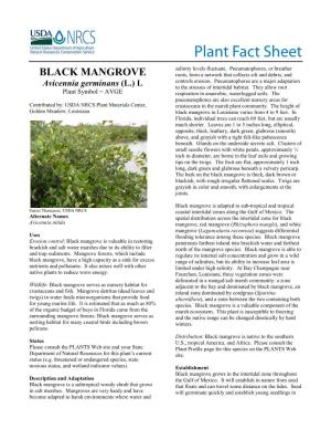 Plant Fact Sheet Black Mangrove (Avicennia Germinans)