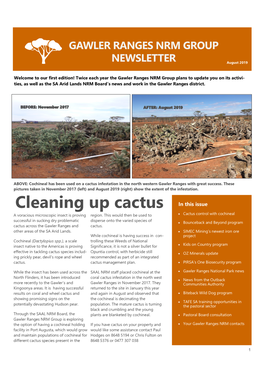 Cleaning up Cactus in This Issue a Voracious Microscopic Insect Is Proving Region
