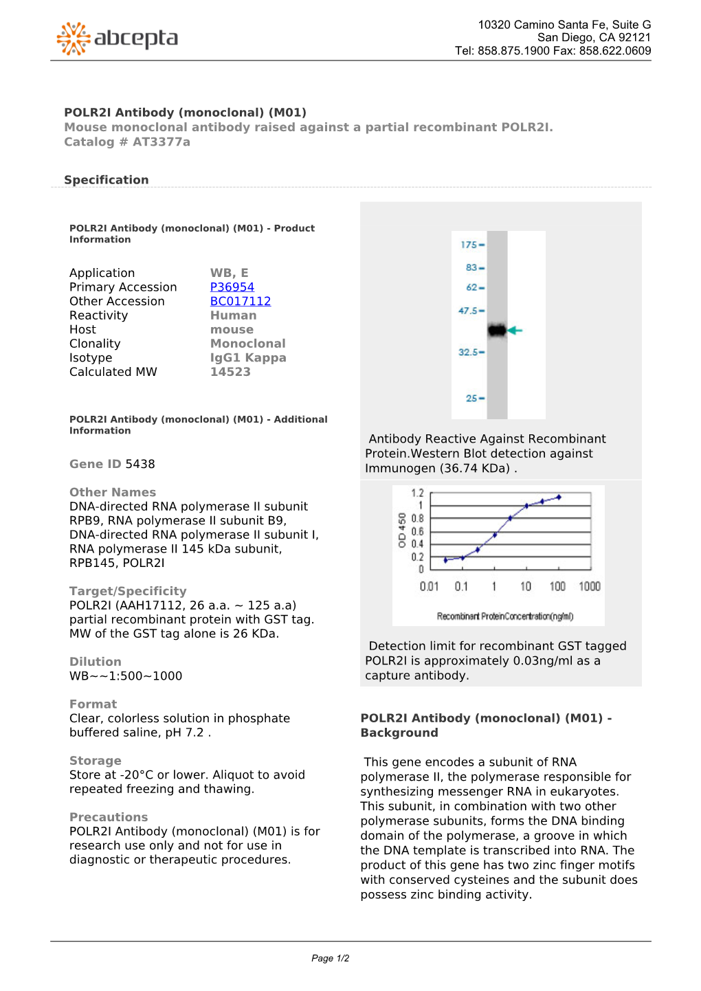 POLR2I Antibody (Monoclonal) (M01) Mouse Monoclonal Antibody Raised Against a Partial Recombinant POLR2I