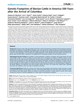 Genetic Footprints of Iberian Cattle in America 500 Years After the Arrival of Columbus