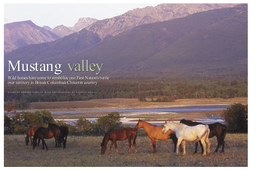 Mustang Valley