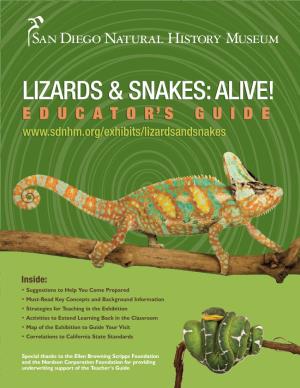 Lizards & Snakes: Alive!