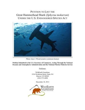 Great Hammerhead Shark (Sphyrna Mokarran) UNDER the U.S