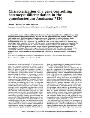Characterization of a Gene Controlling Heterocyst Differentiation in the Cyanobacterium Anabaena 7120