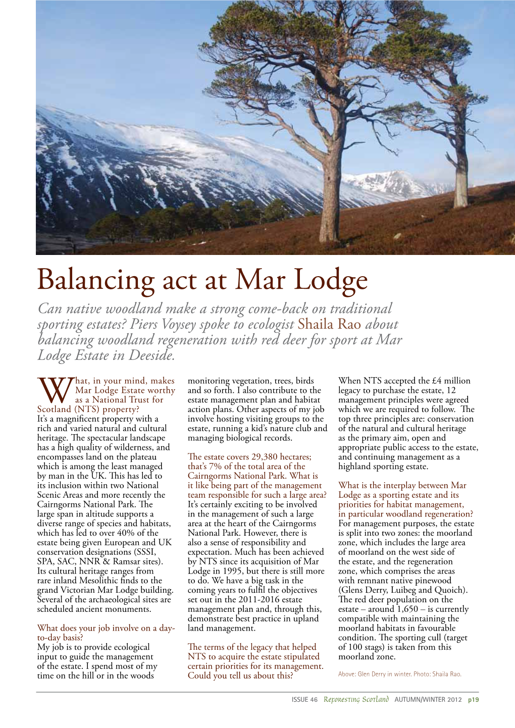 Balancing Act at Mar Lodge