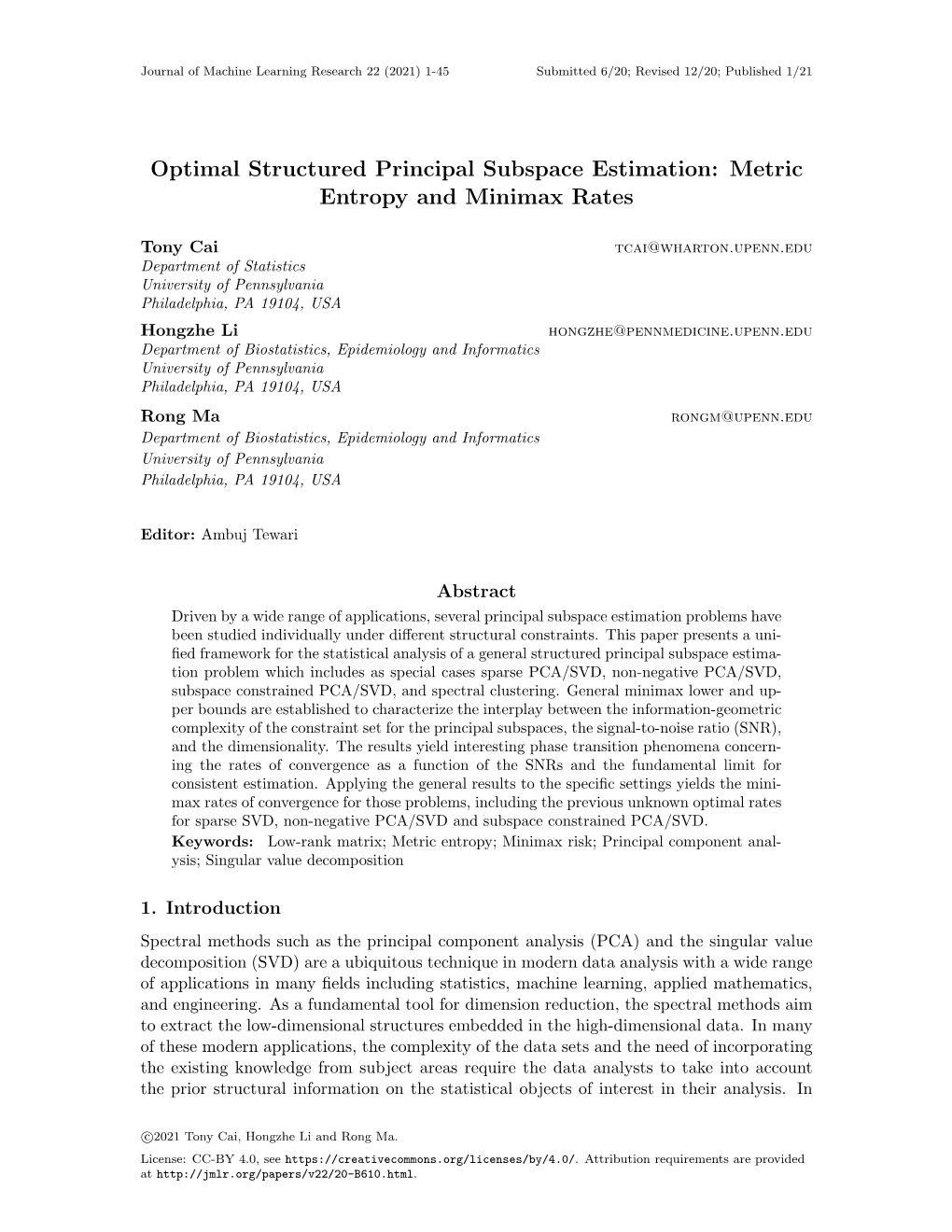 Metric Entropy and Minimax Rates