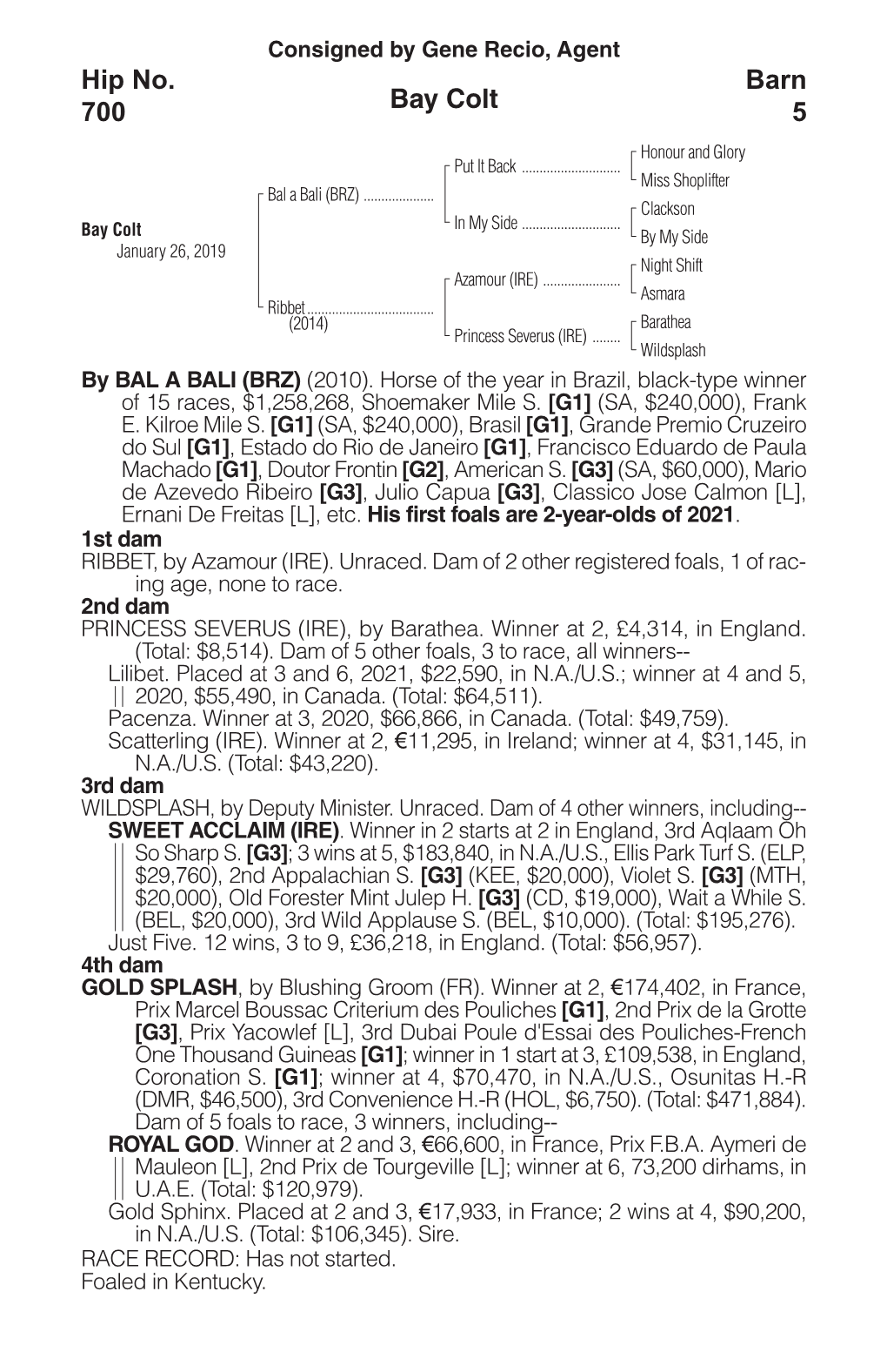 Bay Colt Barn 5 Hip No