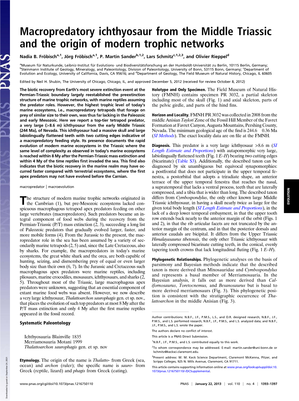 Macropredatory Ichthyosaur from the Middle Triassic and the Origin of Modern Trophic Networks