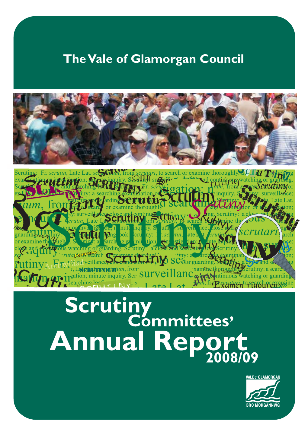 Scrutiny Annual Report 08-09