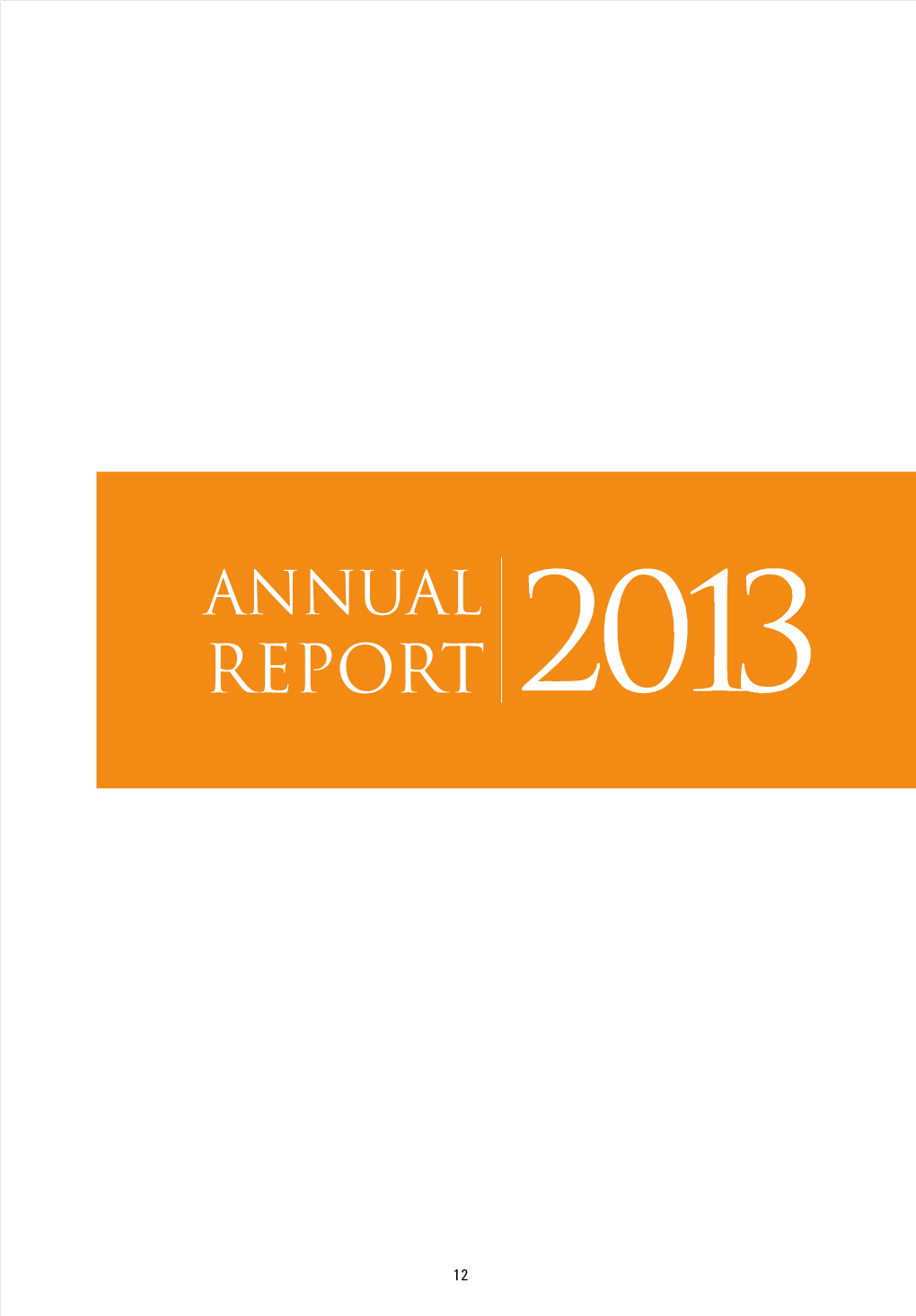 Annual-Report-2013.Pdf