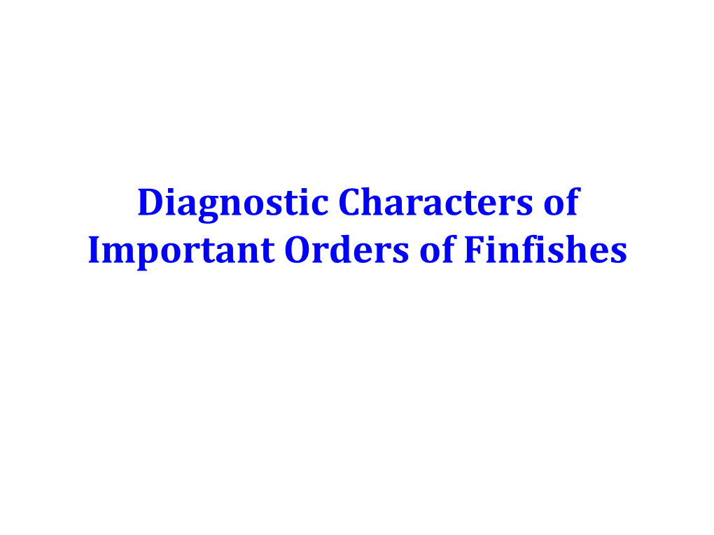 Diagnostic Characters of Important Orders of Finfishes