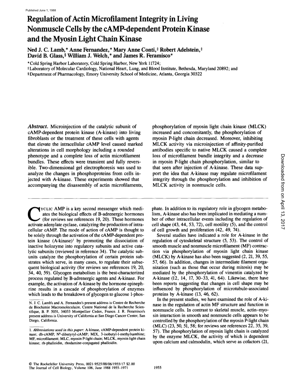 Regulation Ofactin Microfilament Integrity in Living Nonmuscle Cells by the Camp-Dependent Protein Kinase and the Myosin Light Chain Kinase Ned J