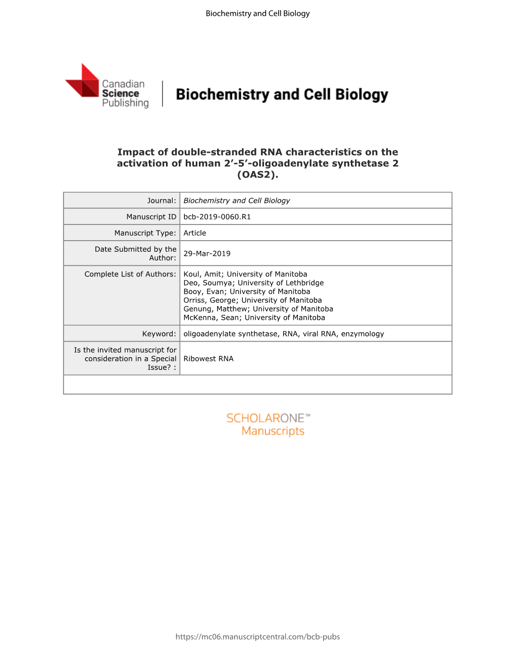 5'-Oligoadenylate Synthetase 2 (OAS2)