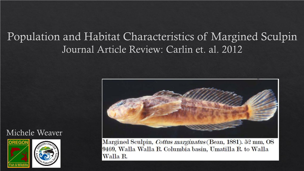 What Is a Margined Sculpin?