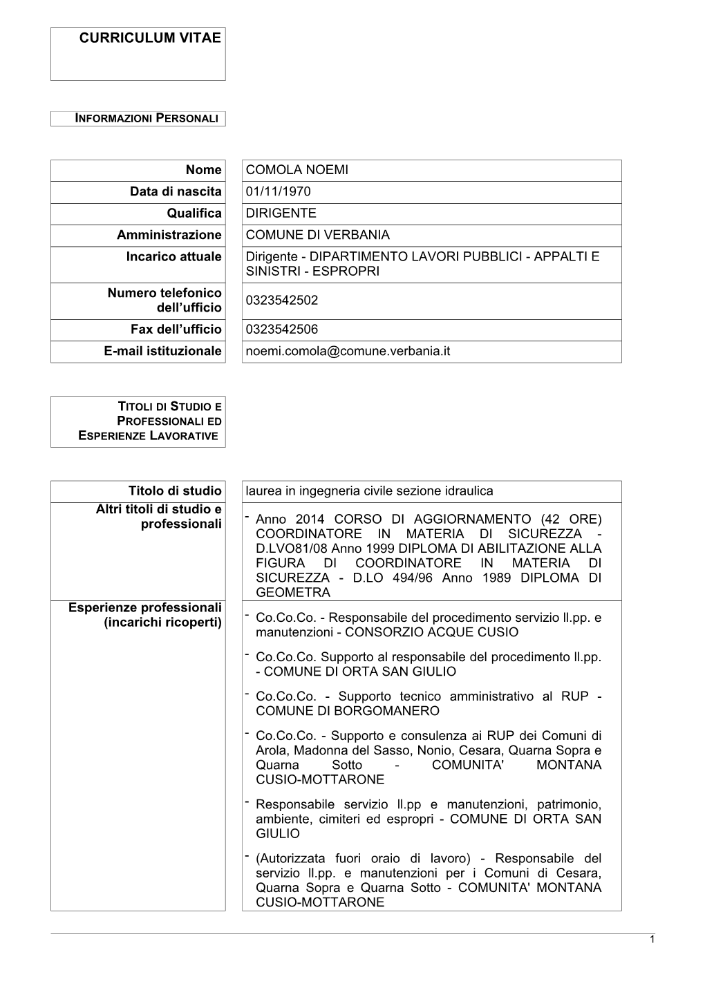 Curriculum Vitae