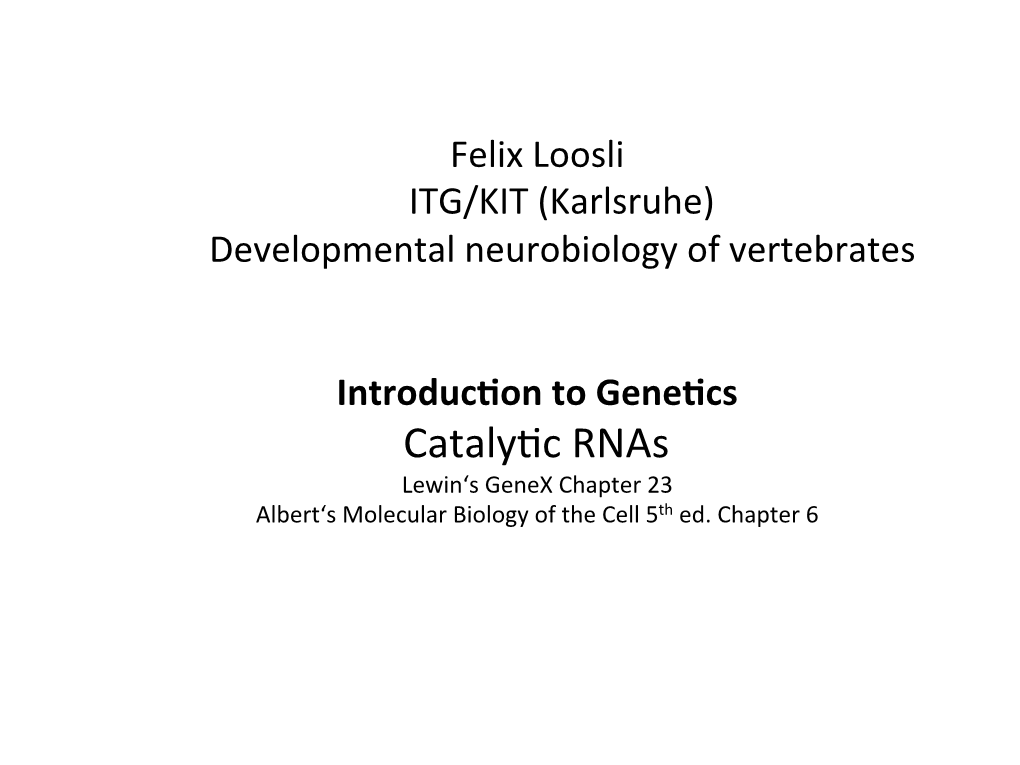 Catalybc Rnas