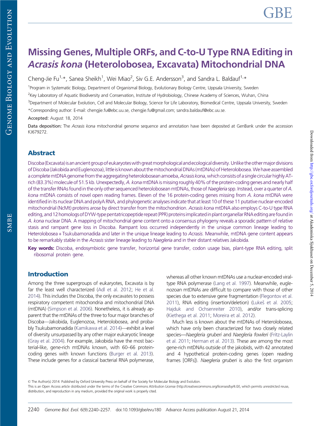 Mitochondrial DNA