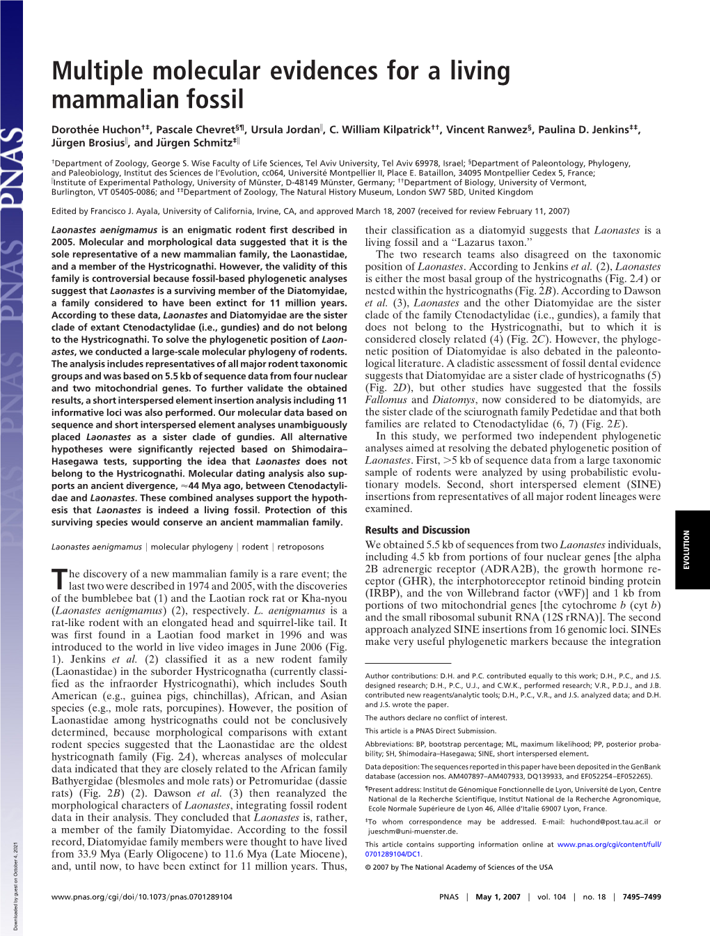 Multiple Molecular Evidences for a Living Mammalian Fossil