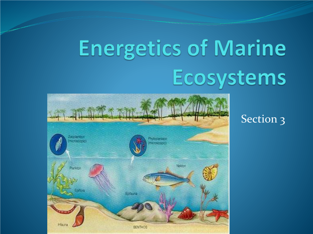 Energetics of Marine Ecosystems Part I