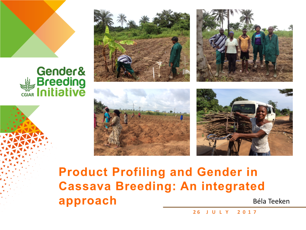Product Profiling and Gender in Cassava Breeding: an Integrated Approach Béla Teeken 2 6 J U L Y 2 0 1 7 Contributors
