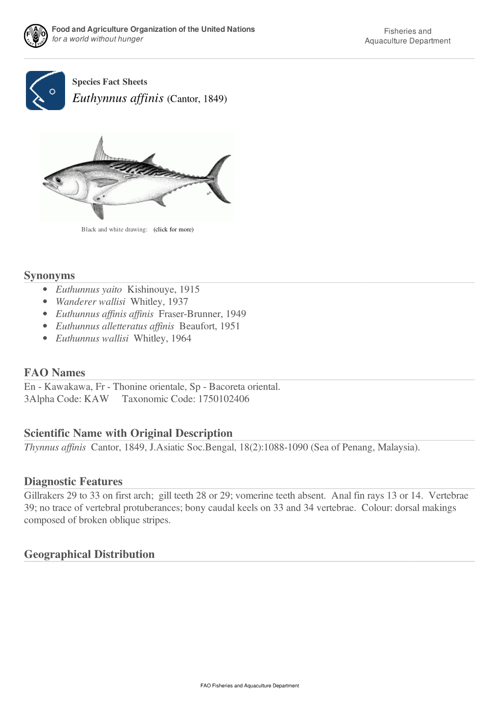 Species Fact Sheets Euthynnus Affinis (Cantor, 1849)