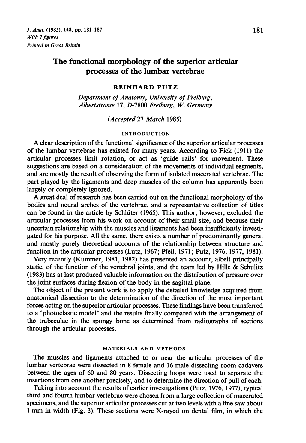 The Functional Morphology of the Superior Articular Processes of the Lumbar Vertebrae