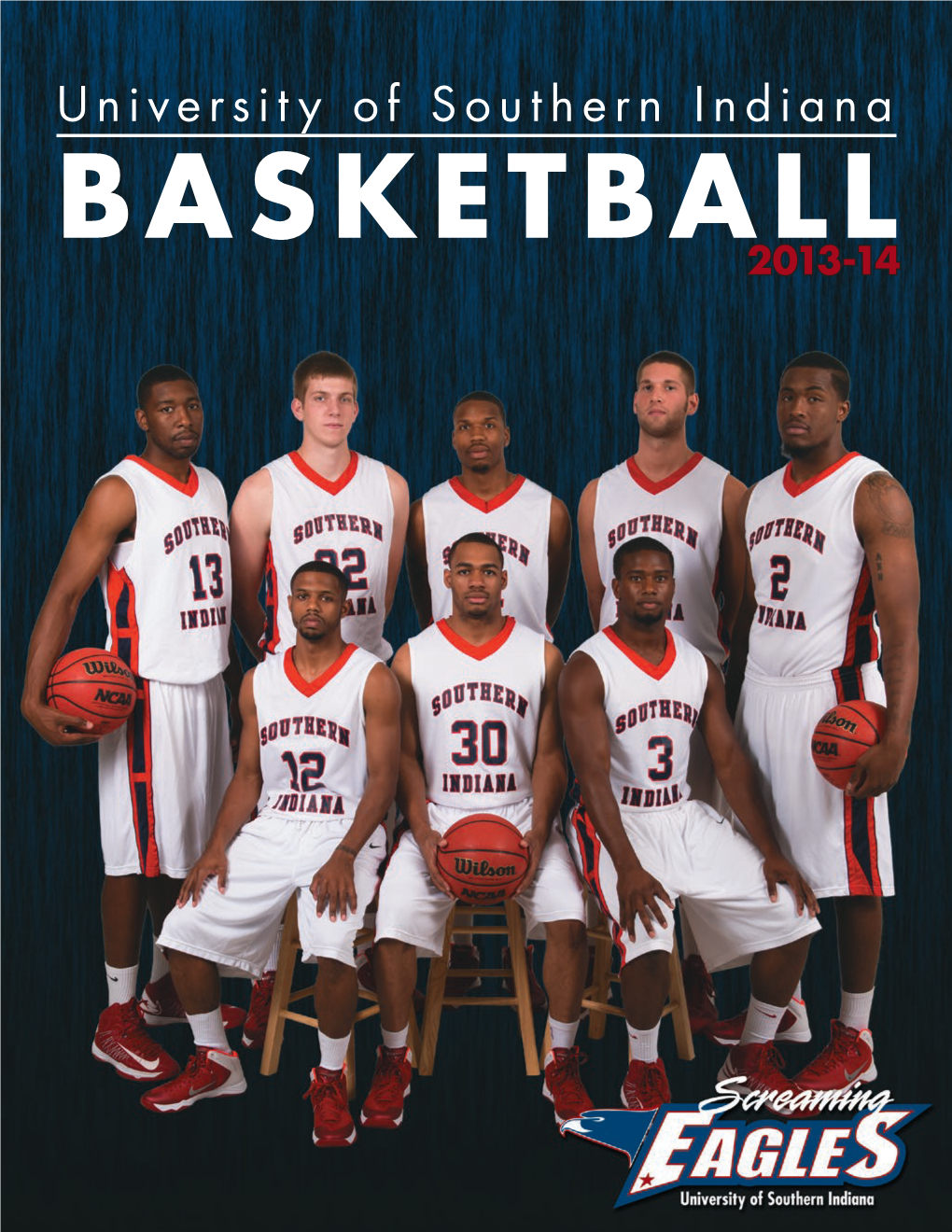 Basketball2013-14