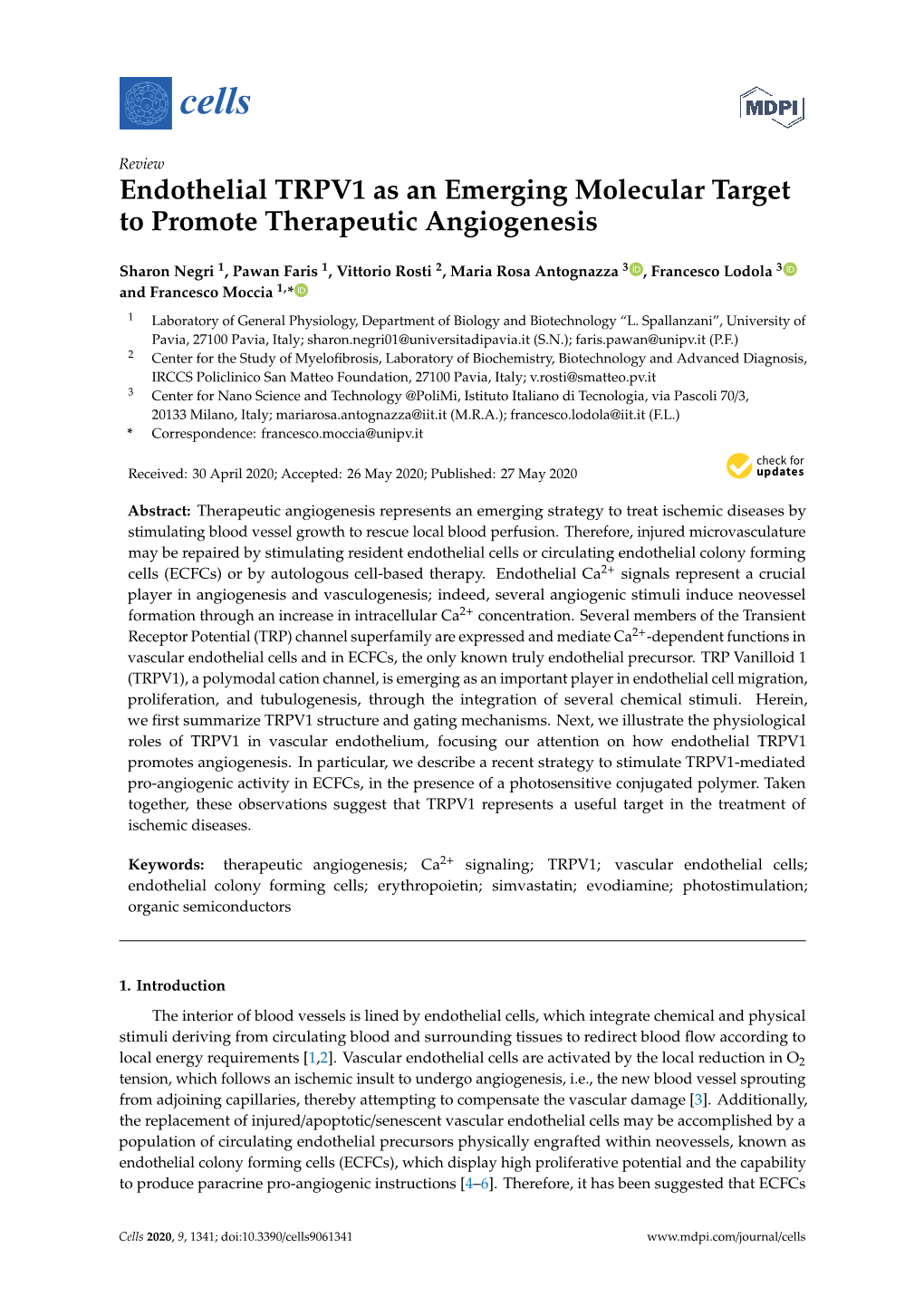 Endothelial TRPV1 As an Emerging Molecular Target to Promote Therapeutic Angiogenesis