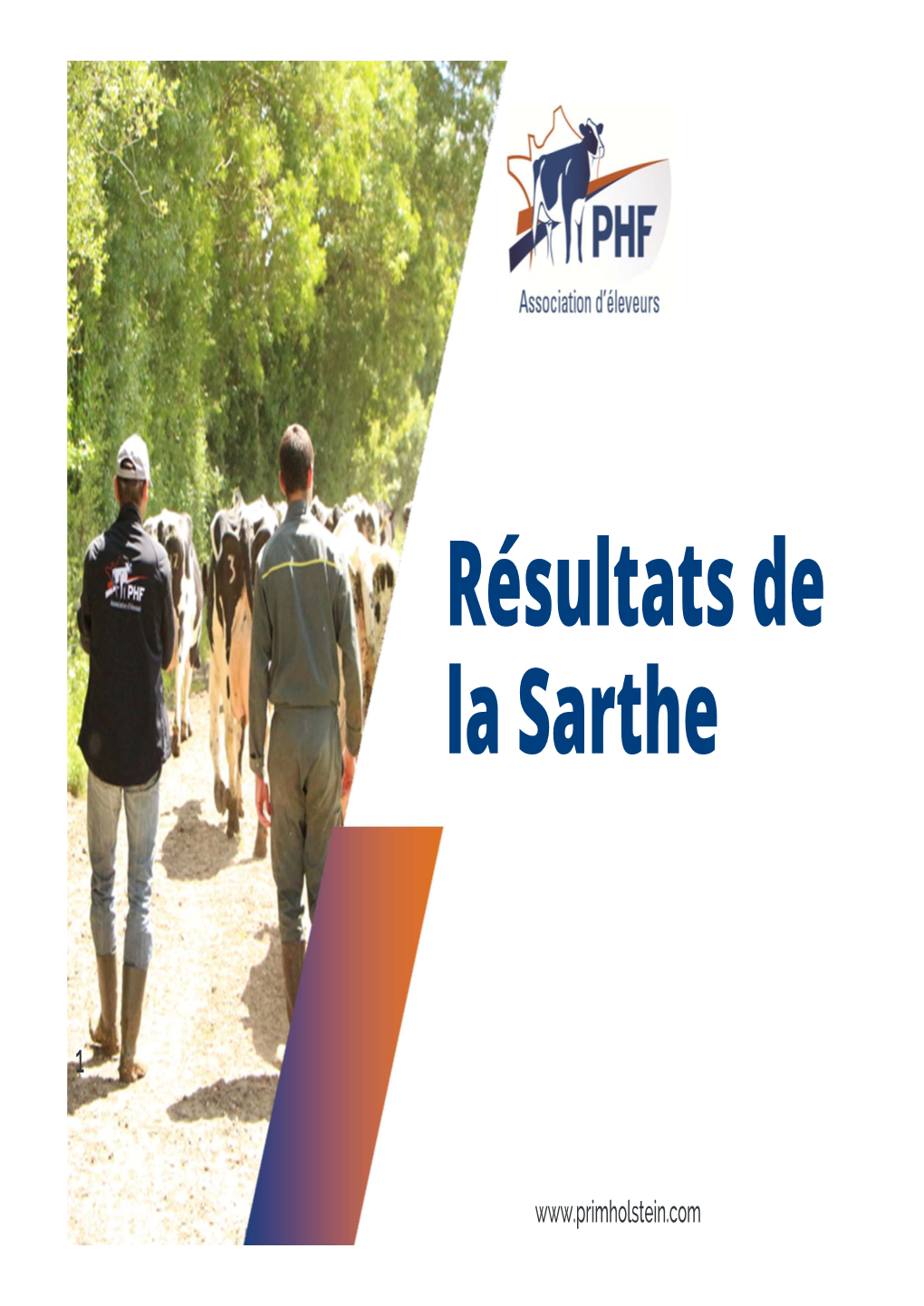 Résultats De La Sarthe