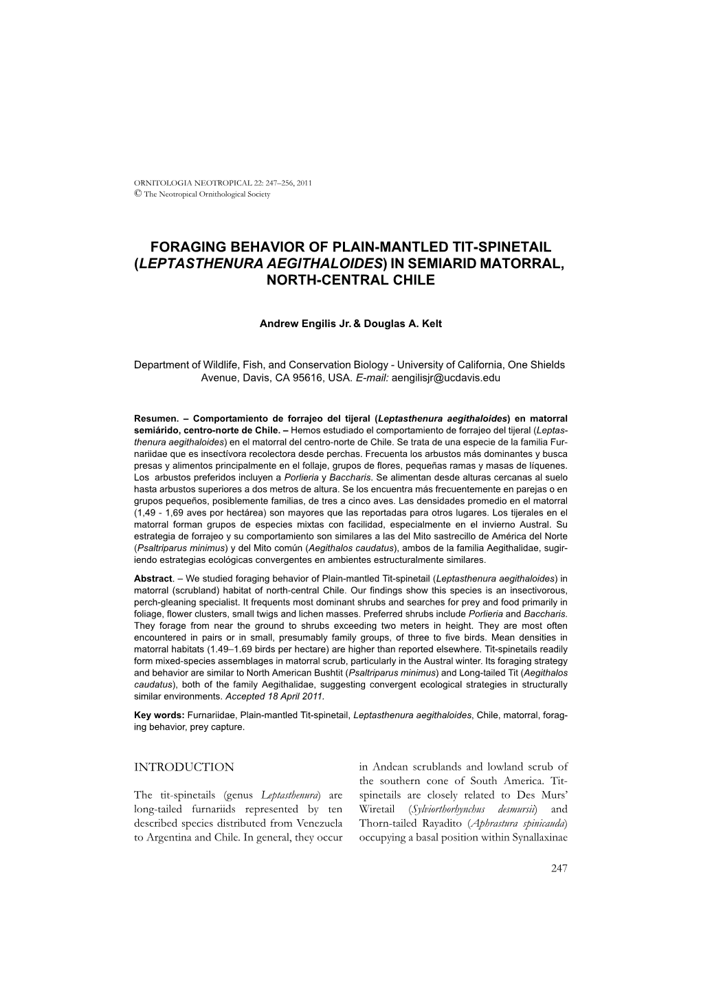 Foraging Behavior of Plain-Mantled Tit-Spinetail (Leptasthenura Aegithaloides) in Semiarid Matorral, North-Central Chile