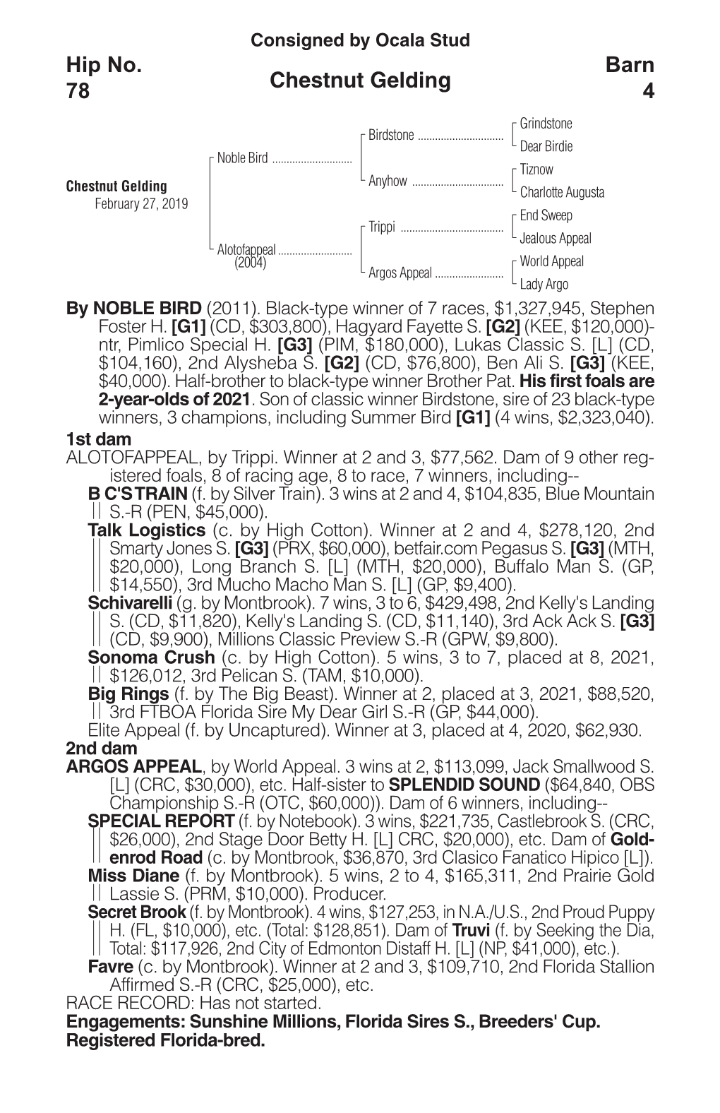 Chestnut Gelding Barn 4 Hip No. 78