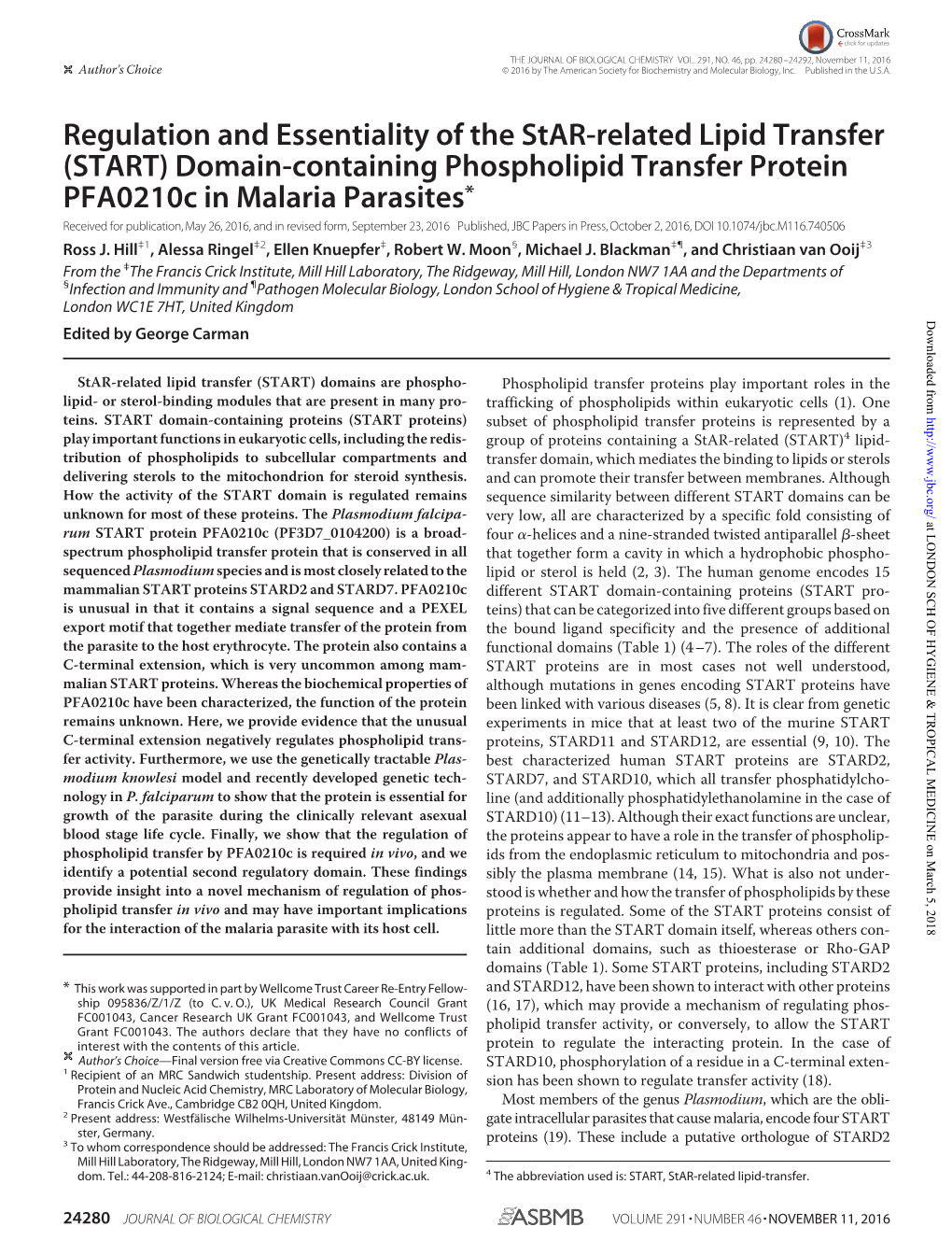 Regulation and Essentiality of the Star-Related Lipid Transfer (START