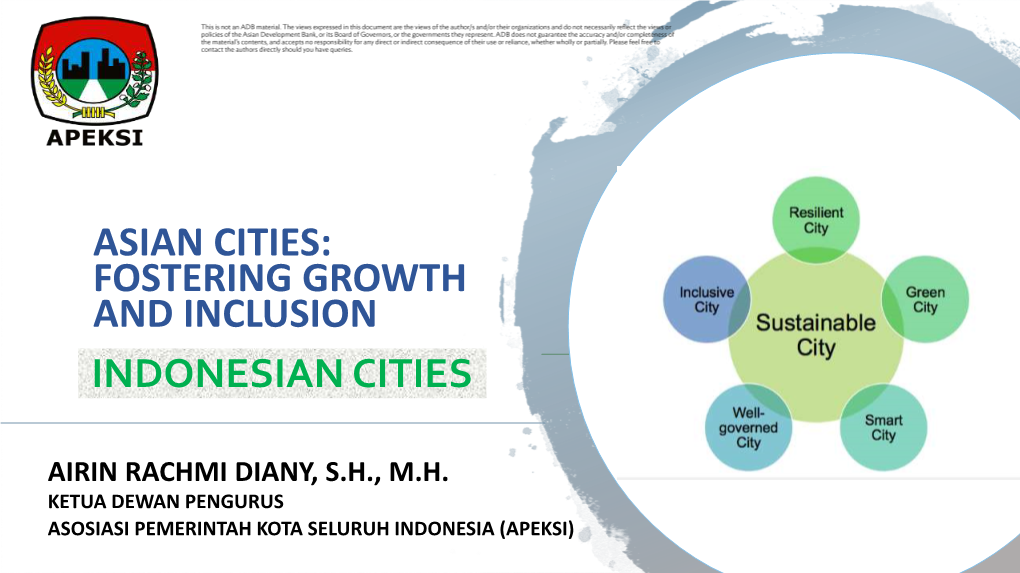 Panel Presentation 4: Perspective of Indonesian City Mayors' Association