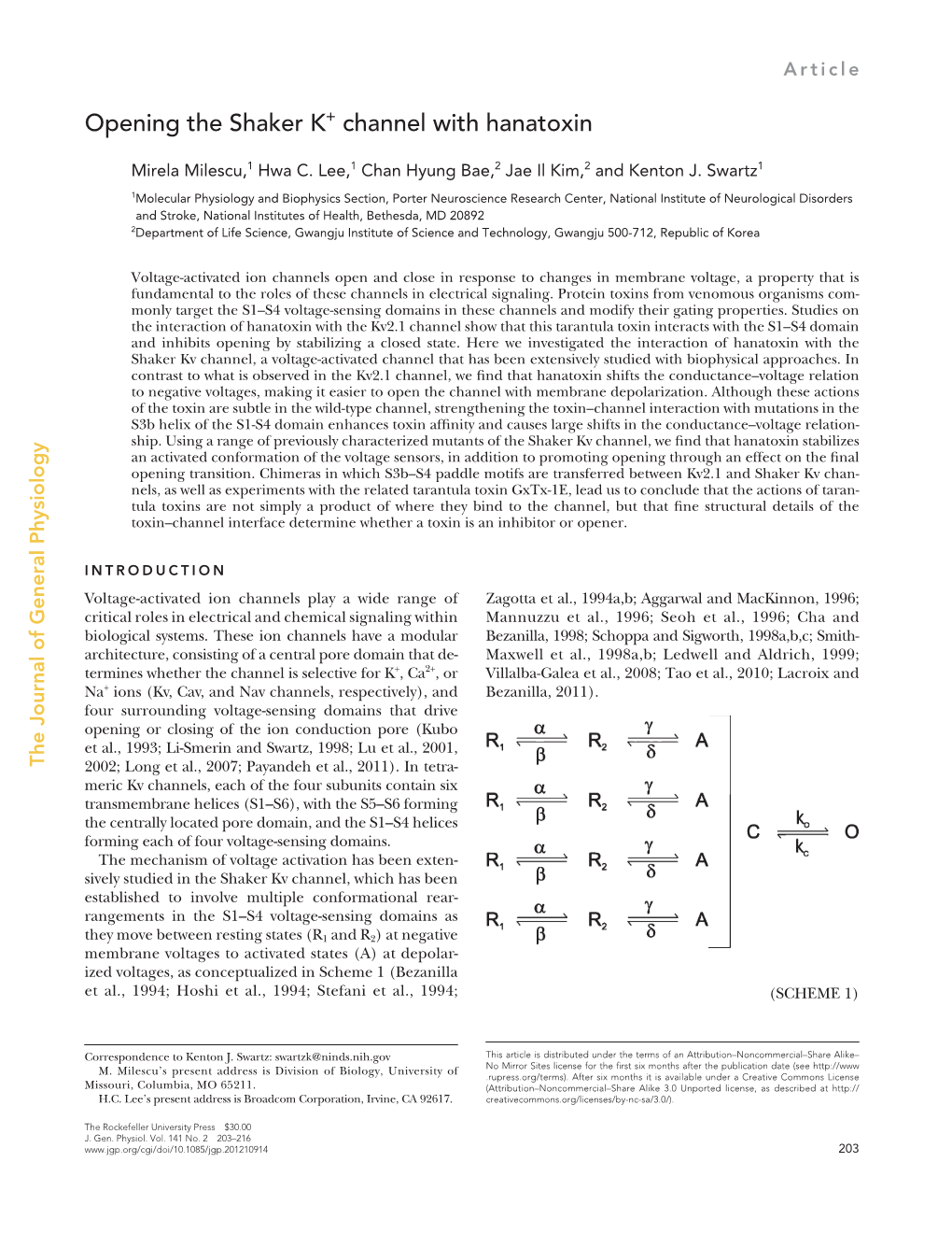 Opening the Shaker K+ Channel with Hanatoxin