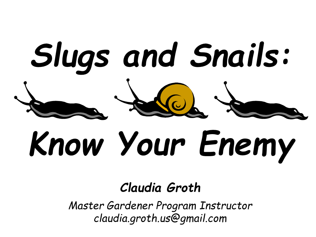 Slugs & Snails Documents