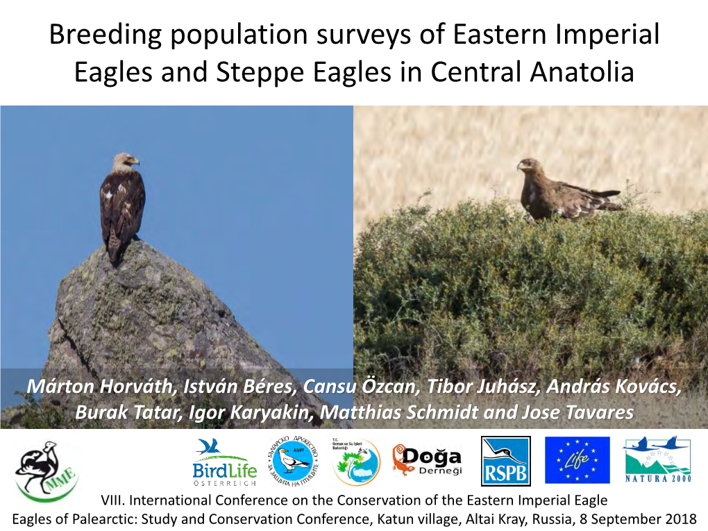 Population Surveys of Eastern Imperial Eagles in Anatolia Between 2009
