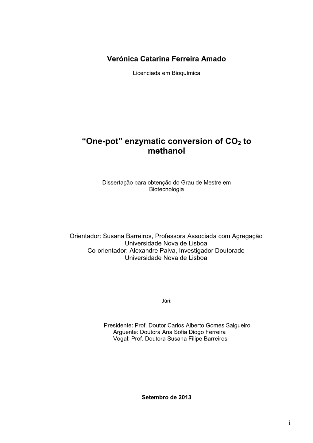Enzymatic Conversion of CO2 to Methanol
