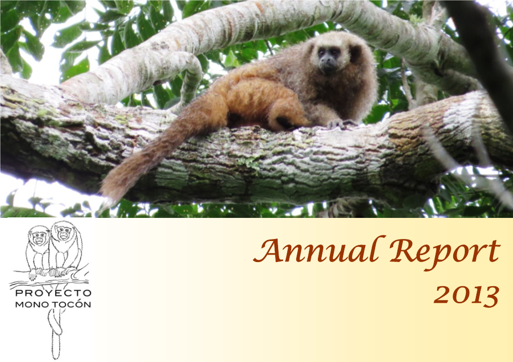 Annual Report 2013