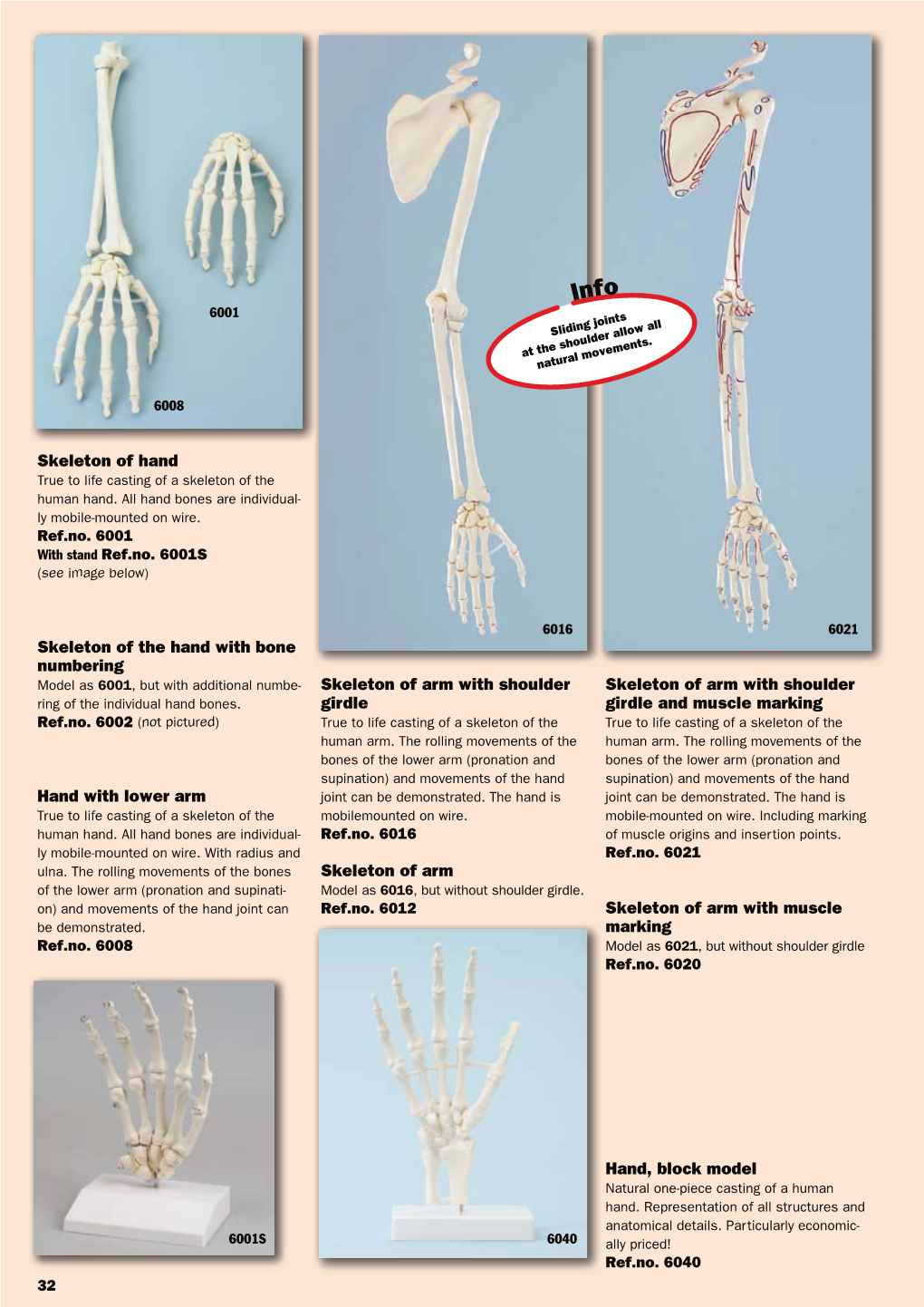 Skeleton of Hand Skeleton of the Hand with Bone Numbering Skeleton Of