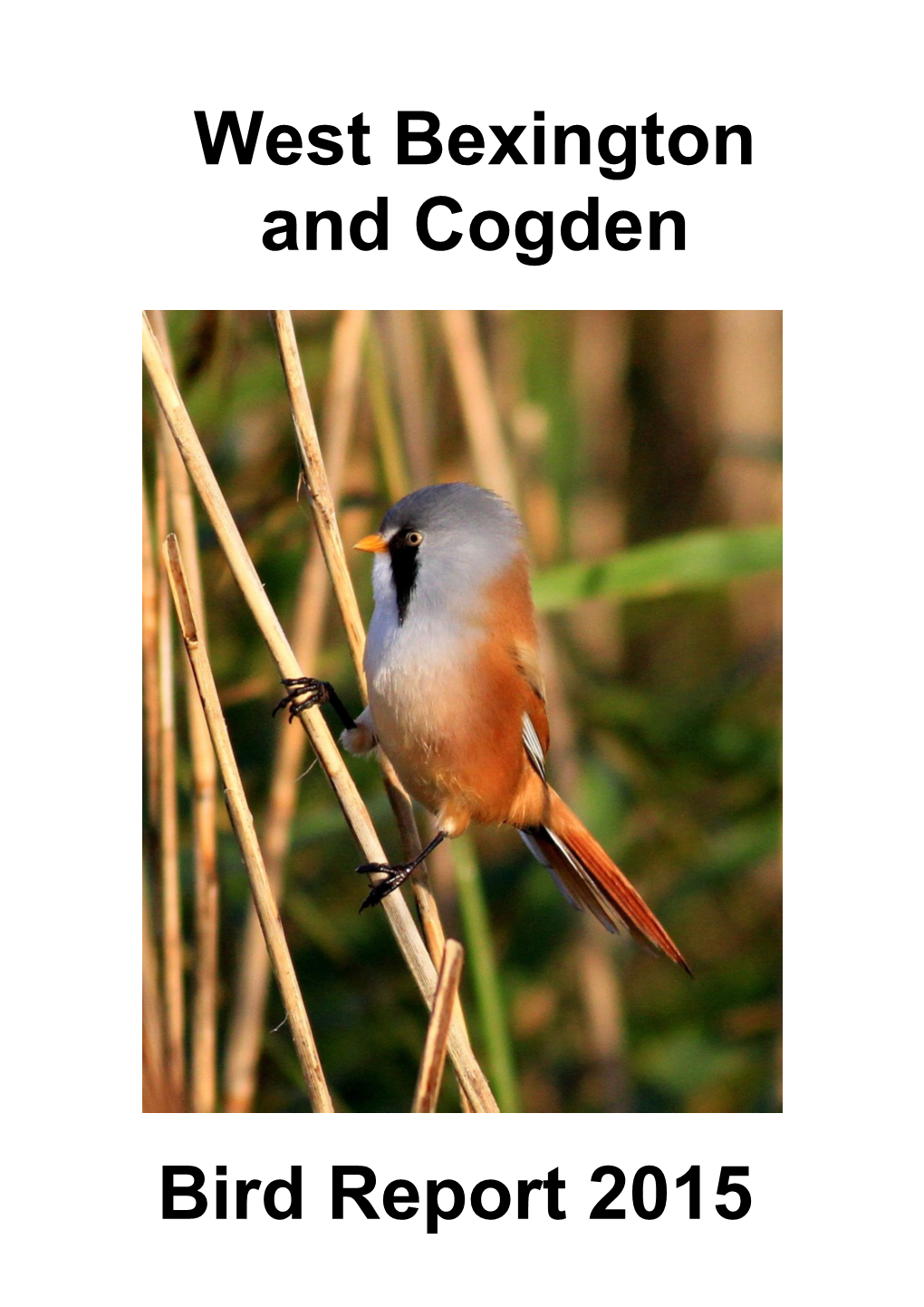 Bird Report 2015 West Bexington and Cogden