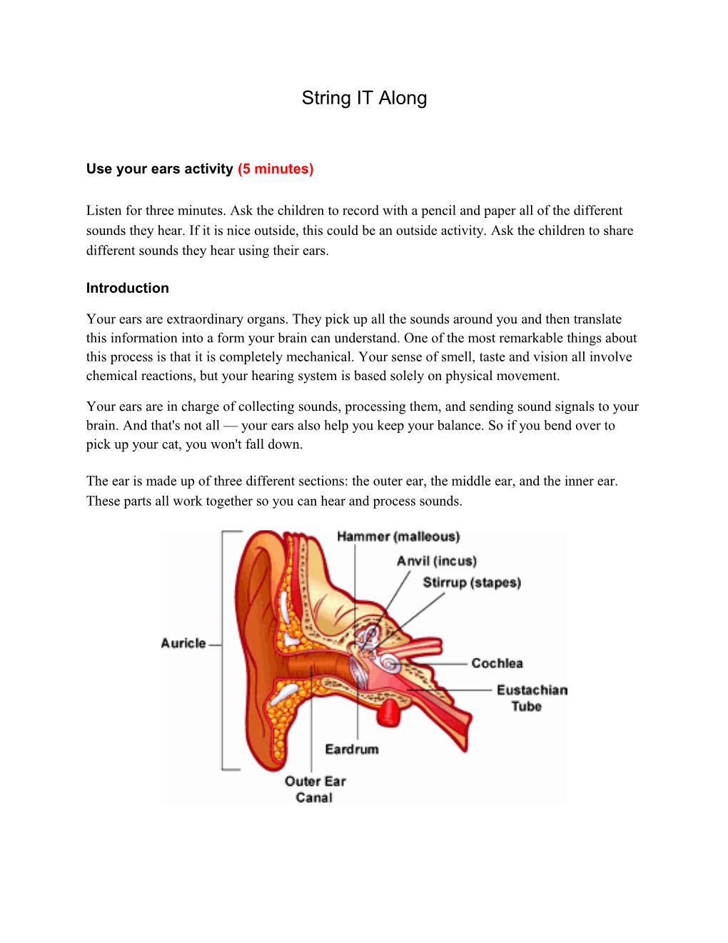 Use Your Ears Activity (5 Minutes)